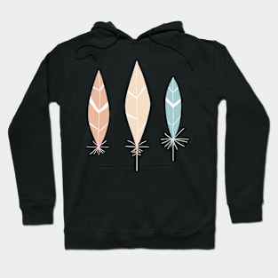 Naive pastel feathers Hoodie